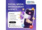 Dominate Social Media with Expert Management in Surrey