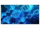 Ace the Exam with Expert AP Biology Classes | Enroll Now