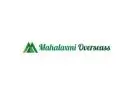 Pickled Gherkins Mahalaxmi Overseas Premium Quality Supply