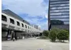 Trusted Virtual Office in Singapore – VOffice from $50/Year