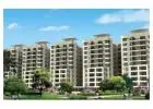 Buy, Sell, or Rent Property in Mohali | TheMohaliProperty.com