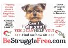 Done For You Marketing; We Do It All!