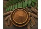 Mimosa Hostilis: Ancient Plant Intelligence Confronts Modern Curiosity