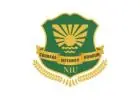 Wide Range of Learning Opportunities: Noida International University Courses
