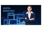 Get Found First with Doha’s Leading SEO Experts – Digital Piloto