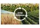 Check what crop rotation is in agriculture practice