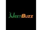 JeetBuzz360 –Online Betting Site for Sports & Casino Fans