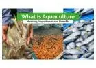 Find Aquaculture Farming in India