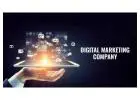 Effective Brand Digital Marketing Services