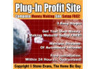 Instantly Increase Traffic To Your Site
