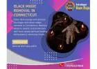 Connecticut Powerful Black Magic Removal to Restore Peace