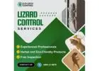 Effective Pest Control Lizard Treatment for a Lizard-Free Home