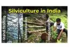 Learn Silviculture, Types, Importance and Scope