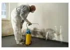 Fast and Reliable Mould Inspection Melbourne Service