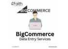 BigCommerce Product Upload Services – Faith Ecommerce Team