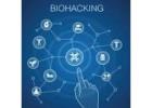 Duplicate Success with Sparky AI. Streamline your Strategy, Multiply Your Money!