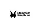 Mammoth Security Inc. Bantam