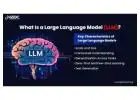 What Is a Large Language Model?