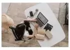 WE HAVE FRIENDS Just PreLaunched!