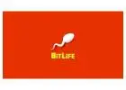How to Experience the Joy of Store Management in Bitlife