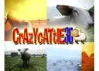 The Day I Got Hooked on Crazy Cattle 3D