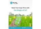Iot Development 