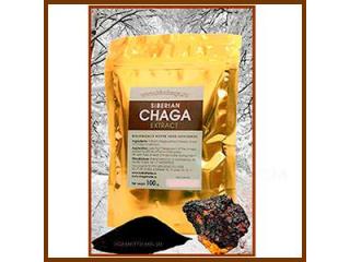 Premium Freeze-Dried Chaga Extract - Bulk & Retail Available