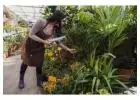 Nursery POS Software | SBI Point of Sale for Growing Retail