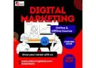 Get Practical Experience In the Best Digital Marketing Course In Lucknow