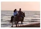 Redefine Your Island Stay with Anna Maria Island Luxury Accommodations