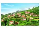 Ooty Tour Package from Bangalore – Explore the Queen of Hills