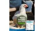 ClosBO WSP Probiotics for Poultry | Natural Gut Health Solution