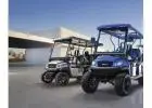 Cruise Florida’s Coastline with Anna Maria Island Golf Cart Rentals