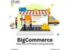 BigCommerce Product Listing Services for Busy Sellers