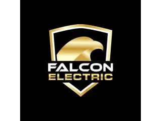 Falcon Electric