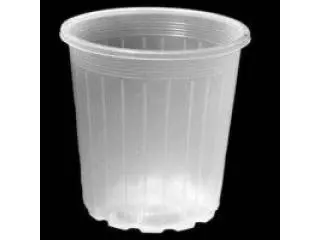 Clear Orchid Pots:  Helping Monitor Roots and Encourage Strong Orchid Growth