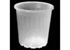 Clear Orchid Pots:  Helping Monitor Roots and Encourage Strong Orchid Growth