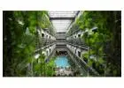 Presupuesto Jardín Vertical: Diseños Exclusivos en Madrid