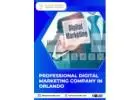 Professional Digital Marketing Company in