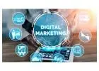 Best SEO Company in UAE for Online Success