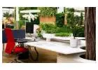 Green Corners & City Views: Melbourne’s Indoor Plant Aesthetic