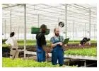 Inventory Management System for Commercial Plant Growers, Greenhouses & Nursery