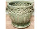 Orchid Pots:  Helping Monitor Roots and Encourage Strong Orchid Growth