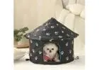 Smart Pet Care Products for Hassle-Free Routines