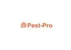 Protect Your Home with Termite Pest Control