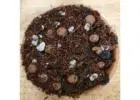 Aroid Mix: Perfect Blend of Nutrition for Healthy Growth