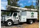 Tree Service in Sonoma County