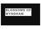 Same Day Flower Delivery Seabrook -  Blossom of Wyndham