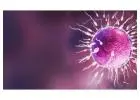 Discovering the Best IVF Clinic in Dubai