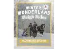 Horse-Drawn Sleigh Rides in Saskatoon — Winter Magic at Champêtre County